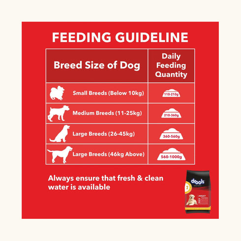 Drools Chicken and Egg Adult Dog Dry Food
